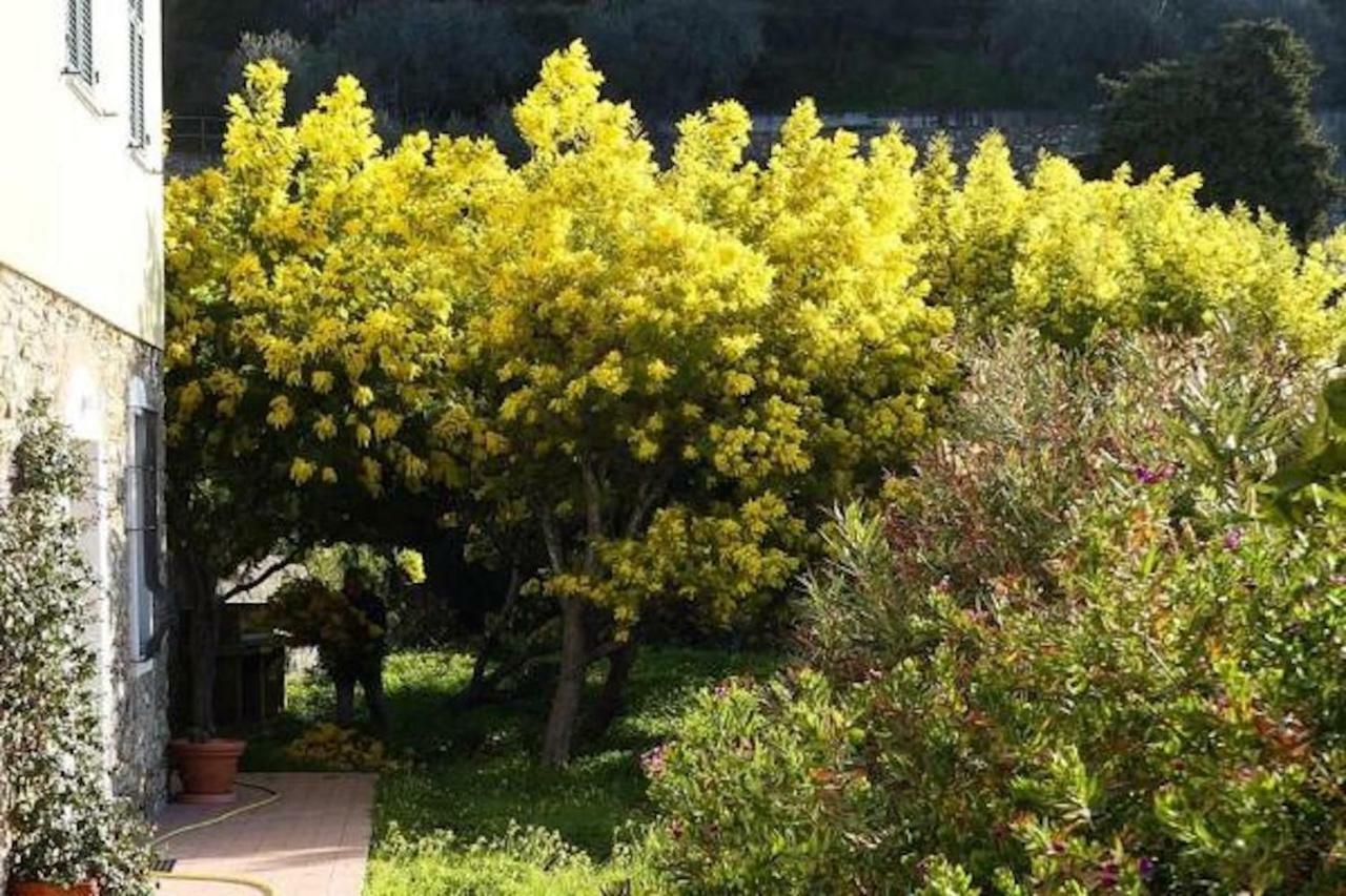 Agriturismo San Michele Di Danio Giovanni Dolcedo Buitenkant foto